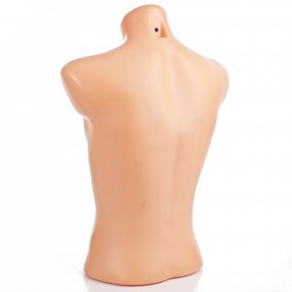 Ekspozytor męski krótki - 2